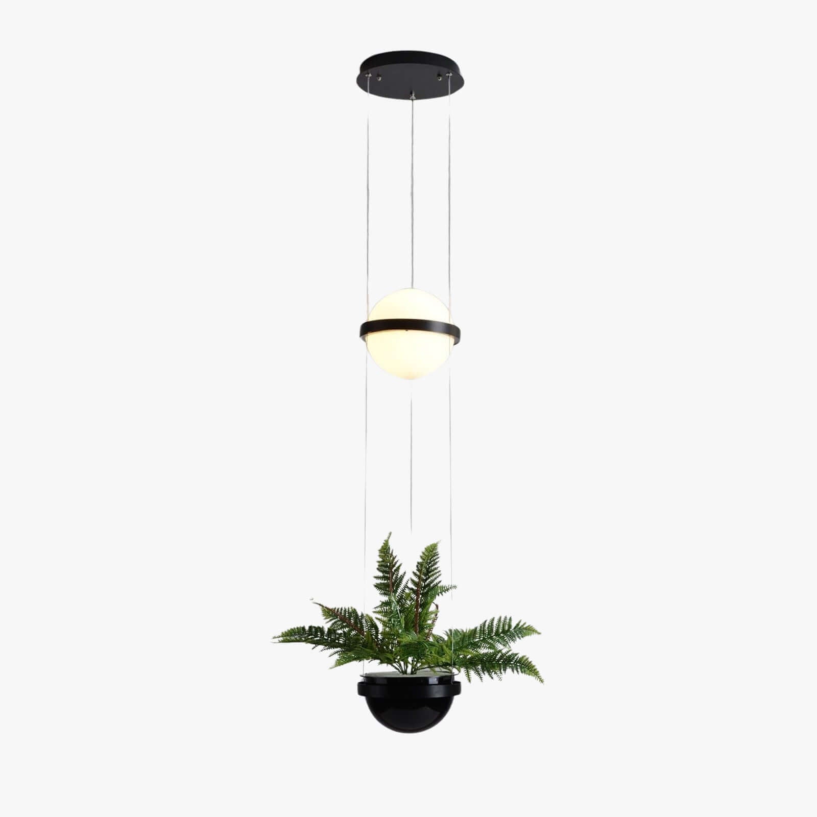 Palma Pendant Lamp