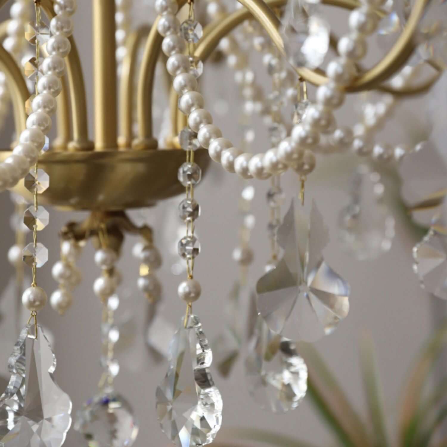 Safavie Chandelier