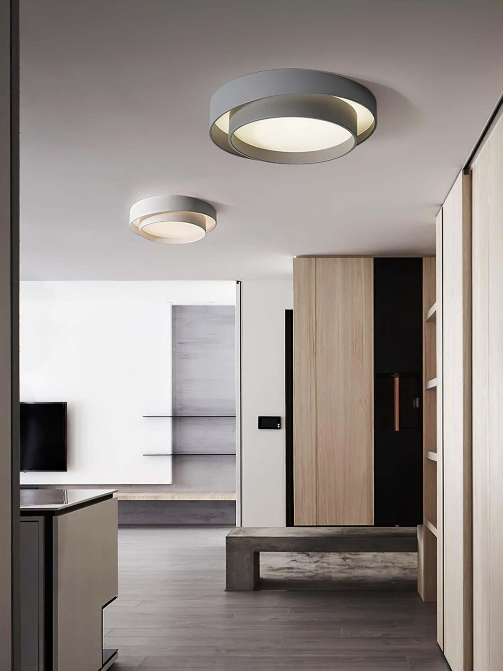 Tivronix Ceiling Lamp