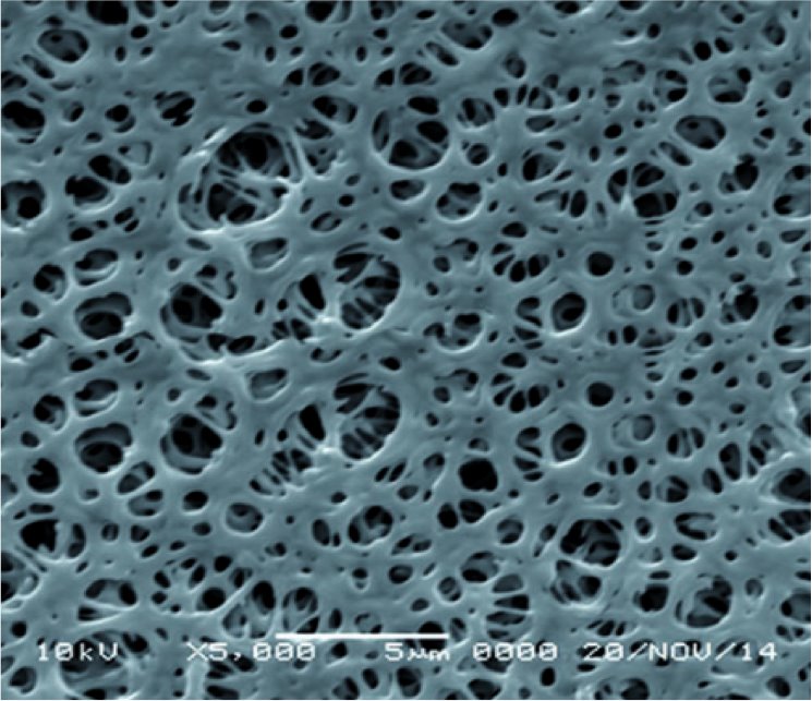 GVS 1214169 UltraSep™, Filtration Membrane, Polyethersulfone 142mm 0.22 µm
