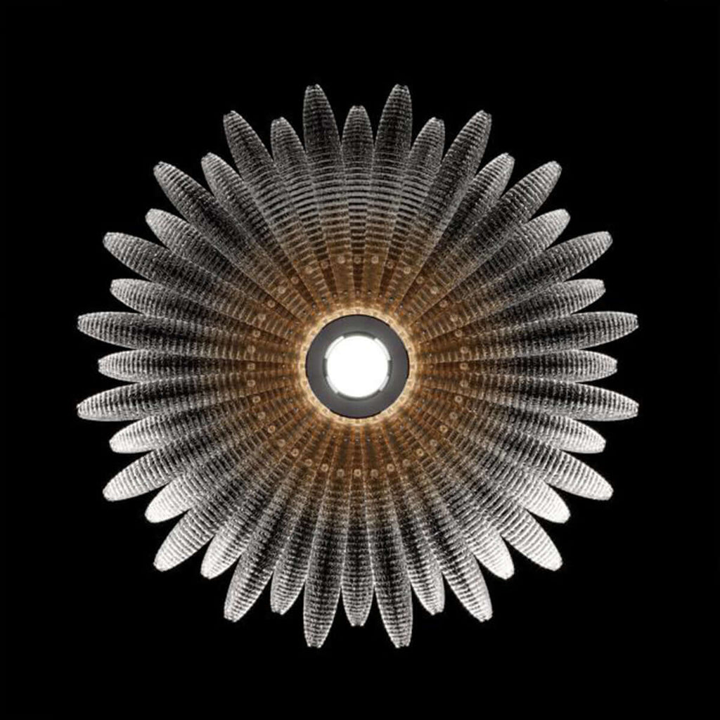 Veliro Ceiling Light