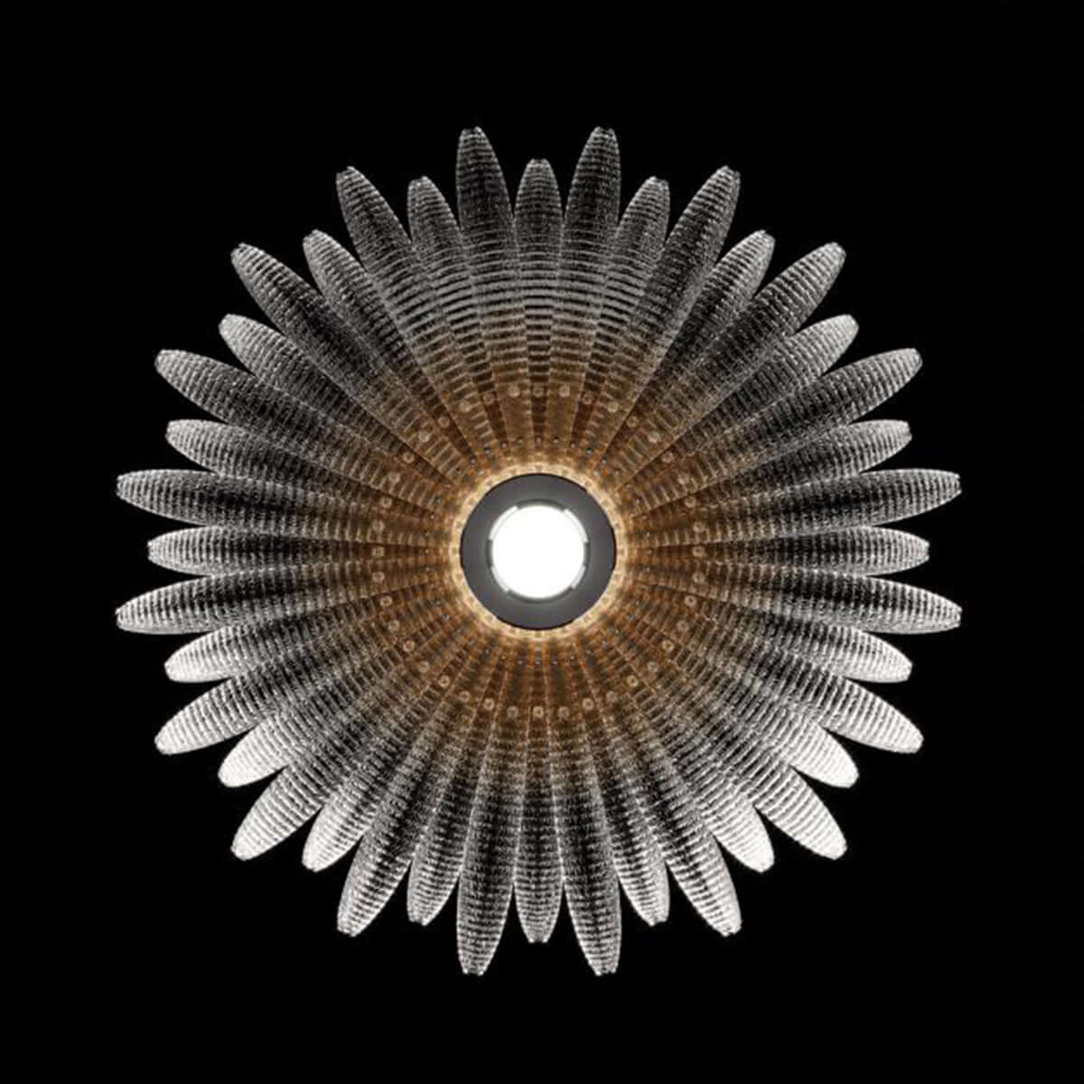 Veliro Ceiling Light