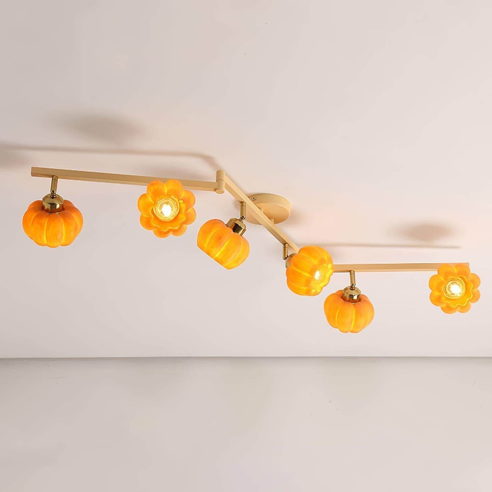 Venus Pumpkin Ceiling Lamp