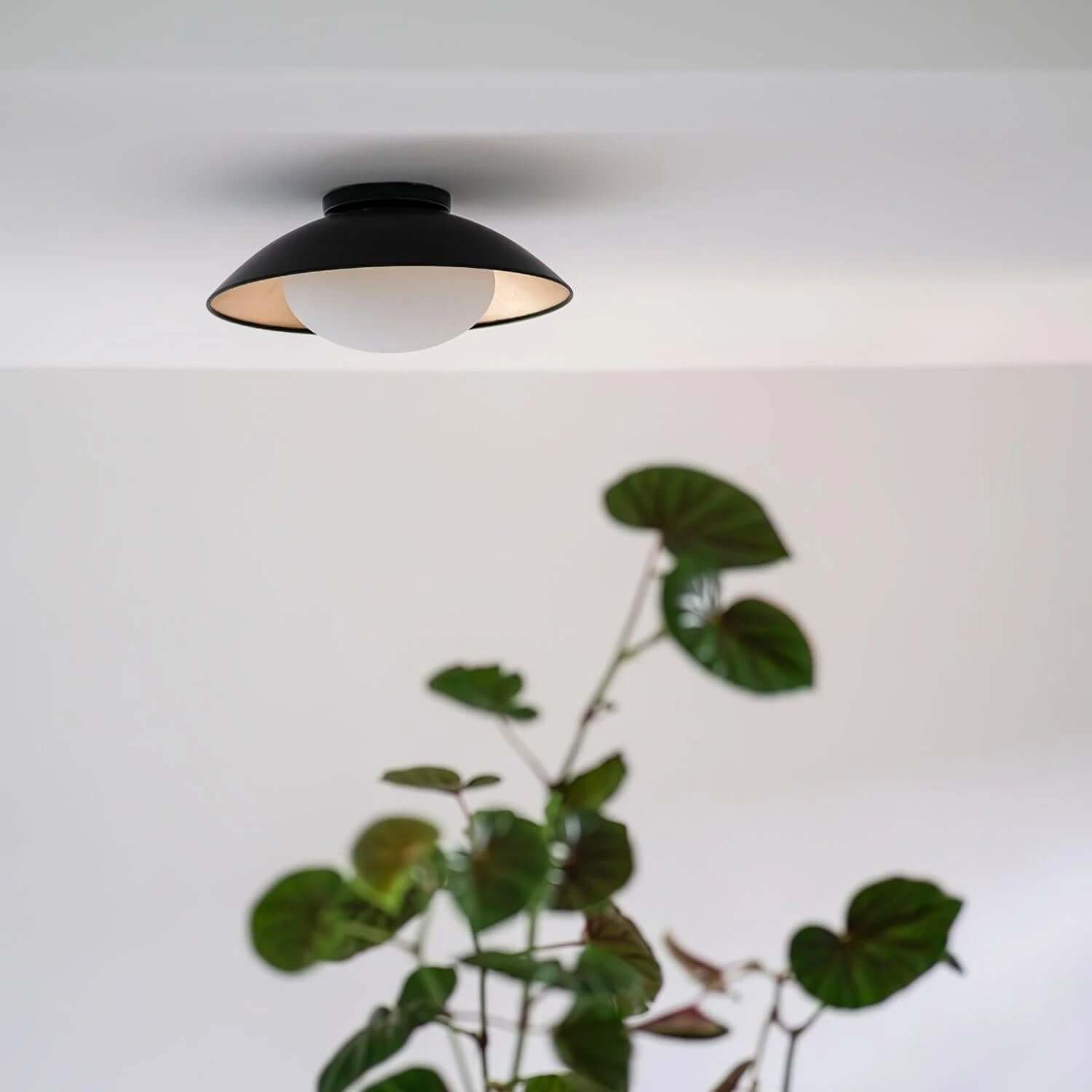 Voreni Ceiling Light