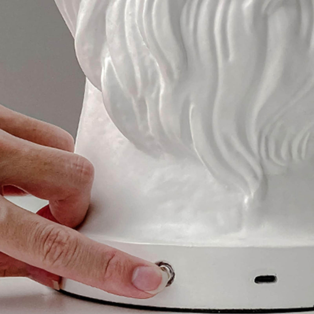 Wonder Table Lamp