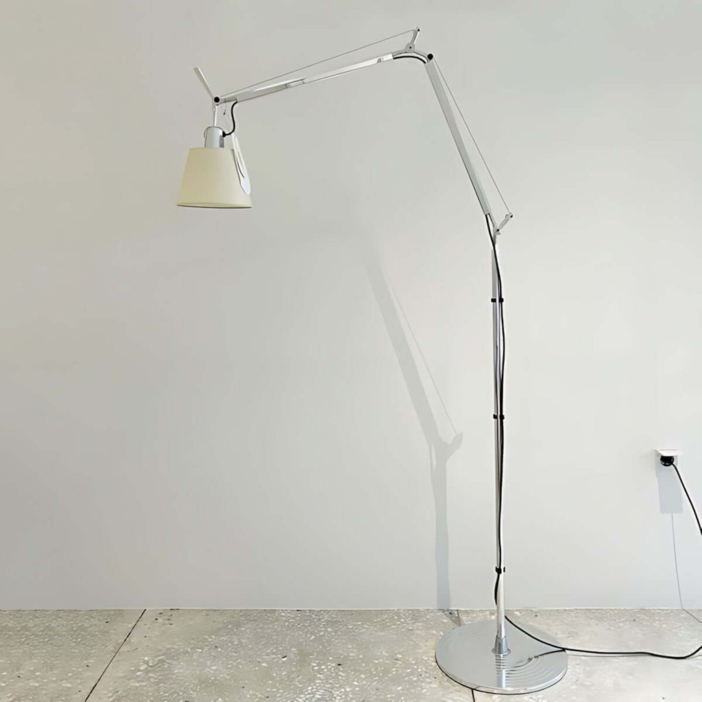 Wujilo Floor Lamp