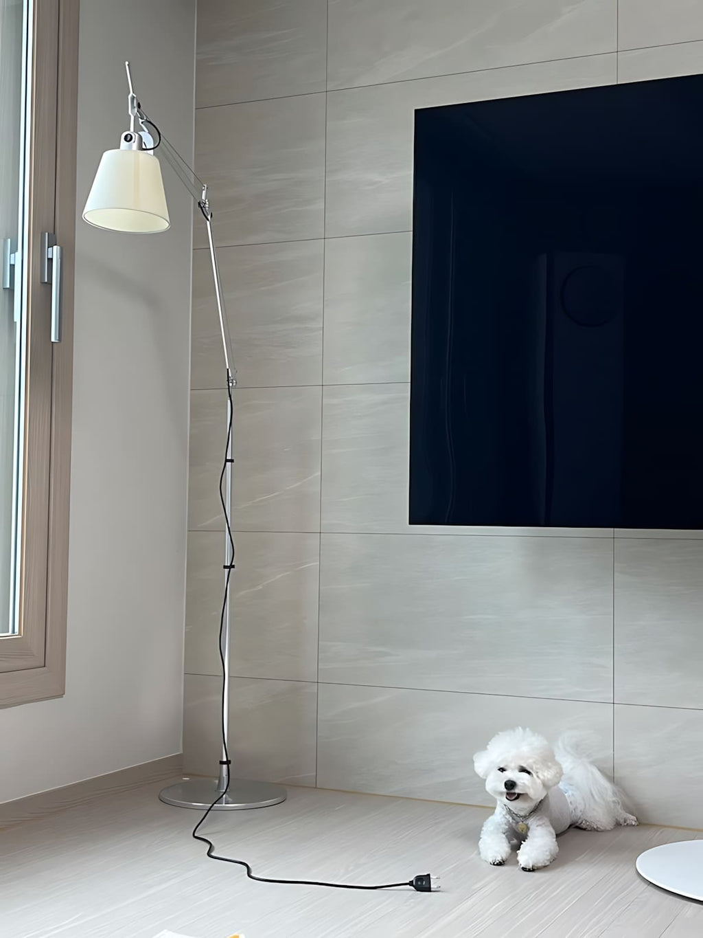 Wujilo Floor Lamp
