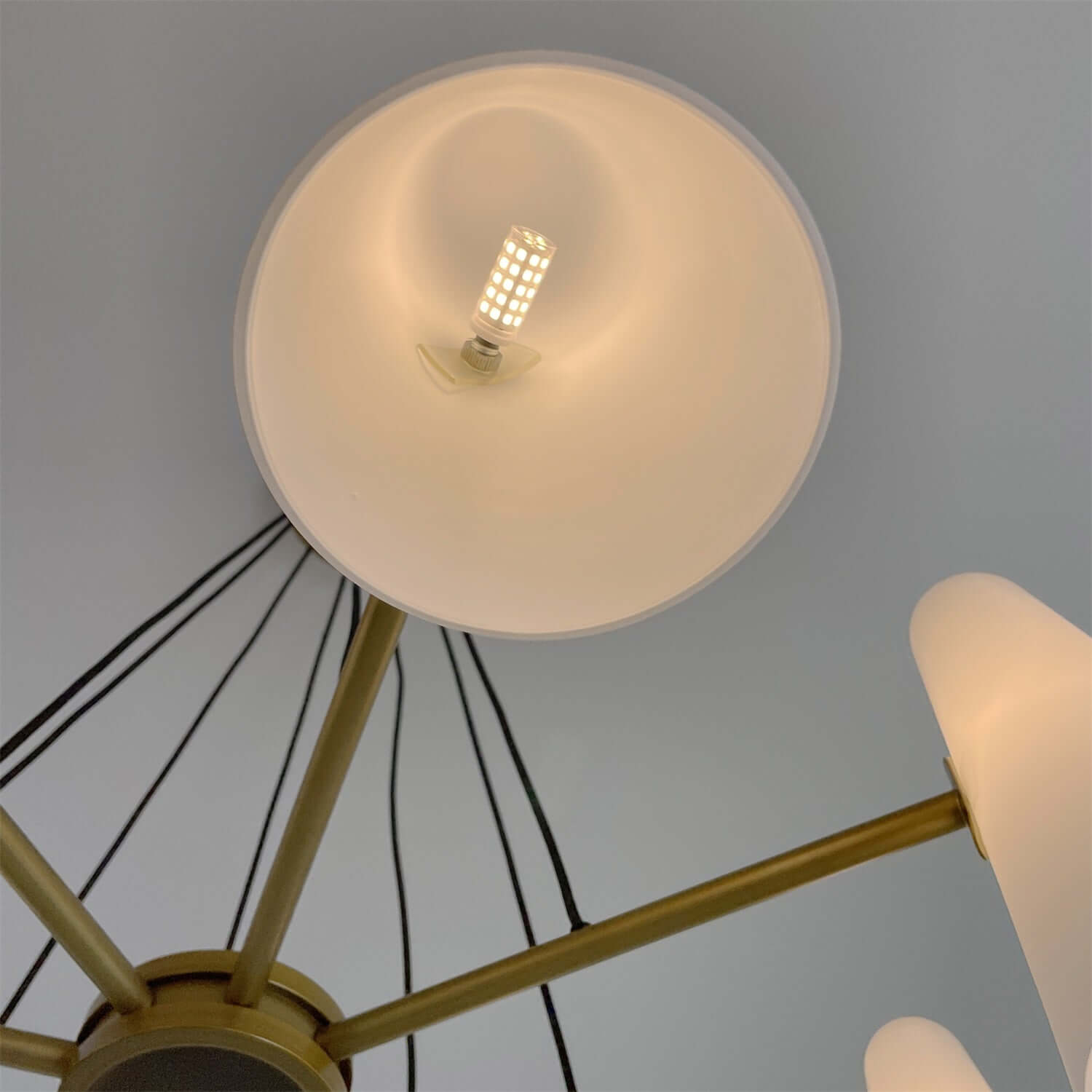 Xarvilo Chandelier