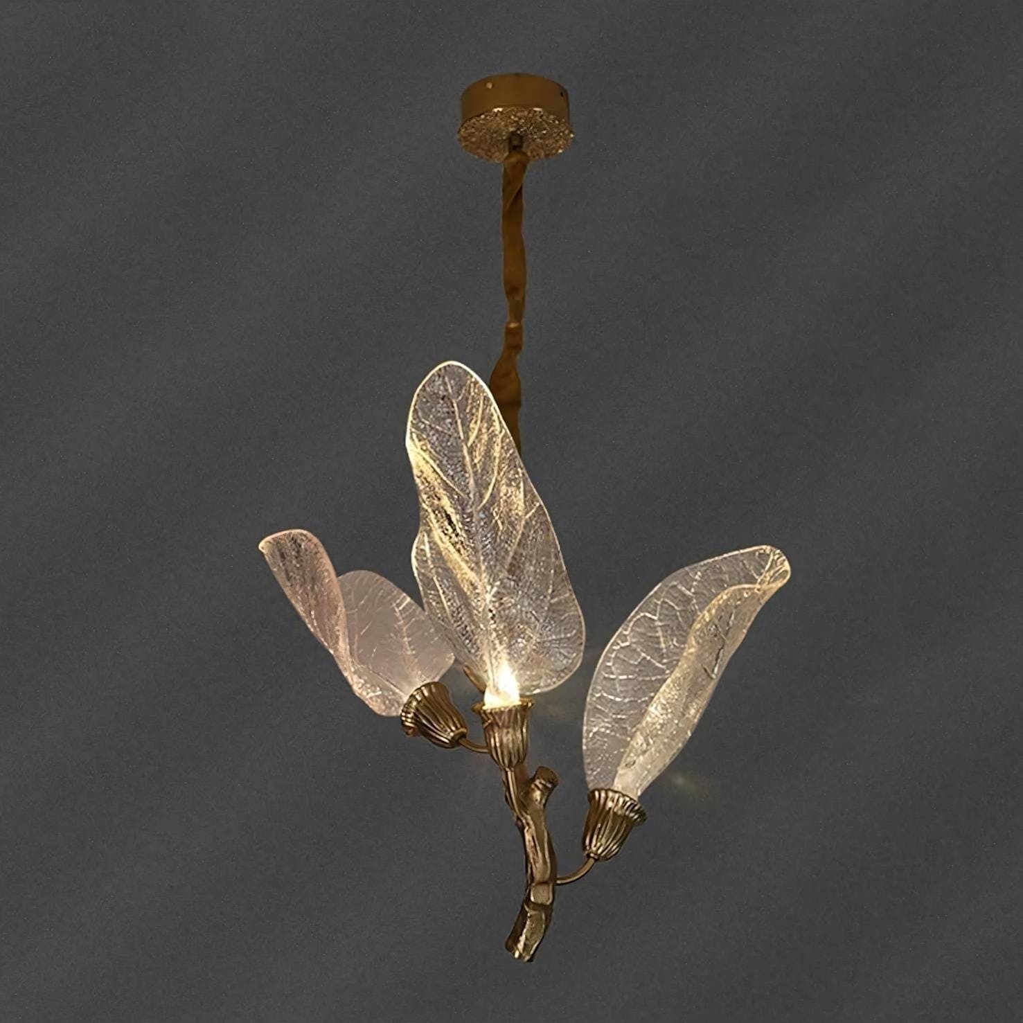 Zybril Chandelier