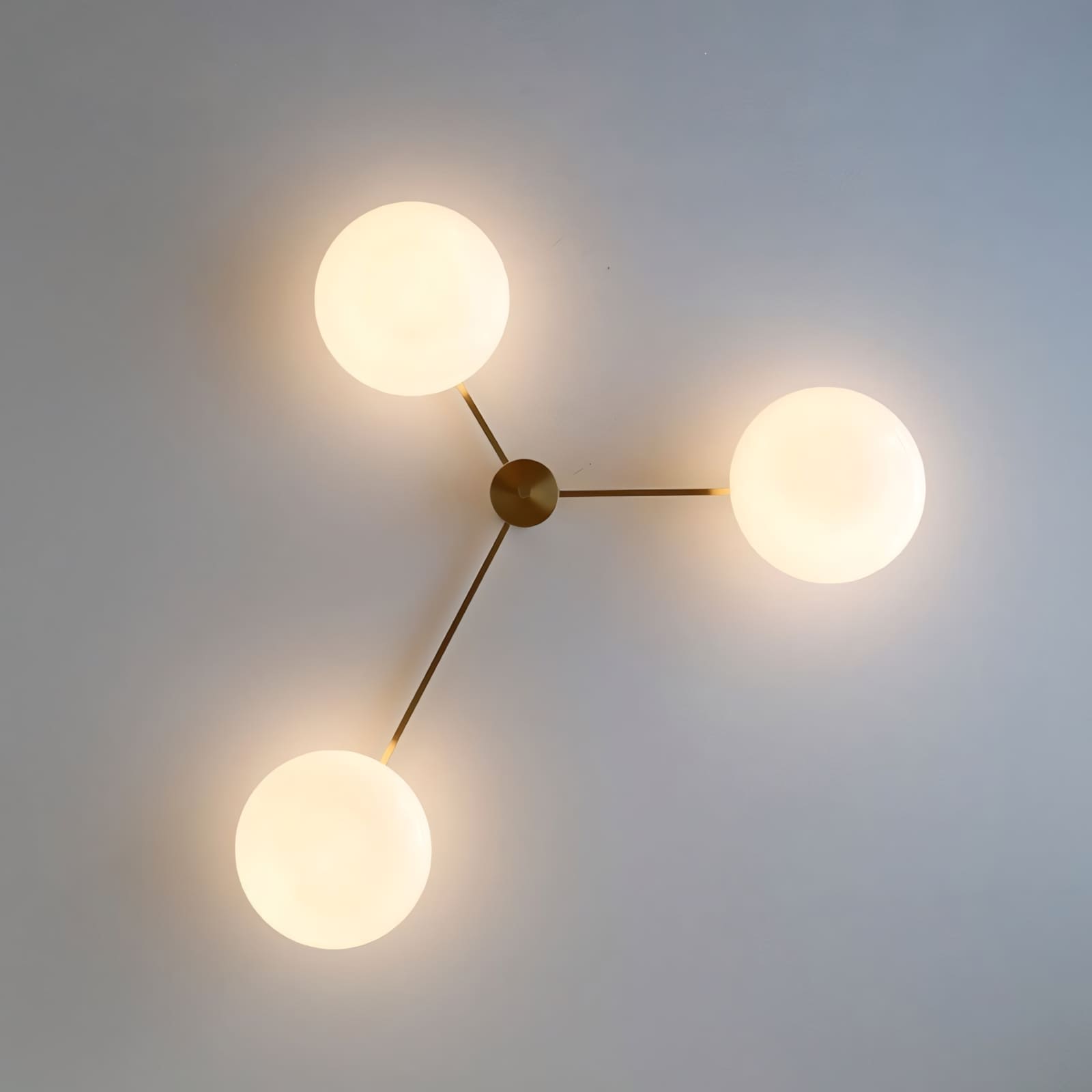 Zylor Ceiling Light