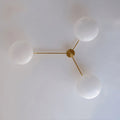 Zylor Ceiling Light