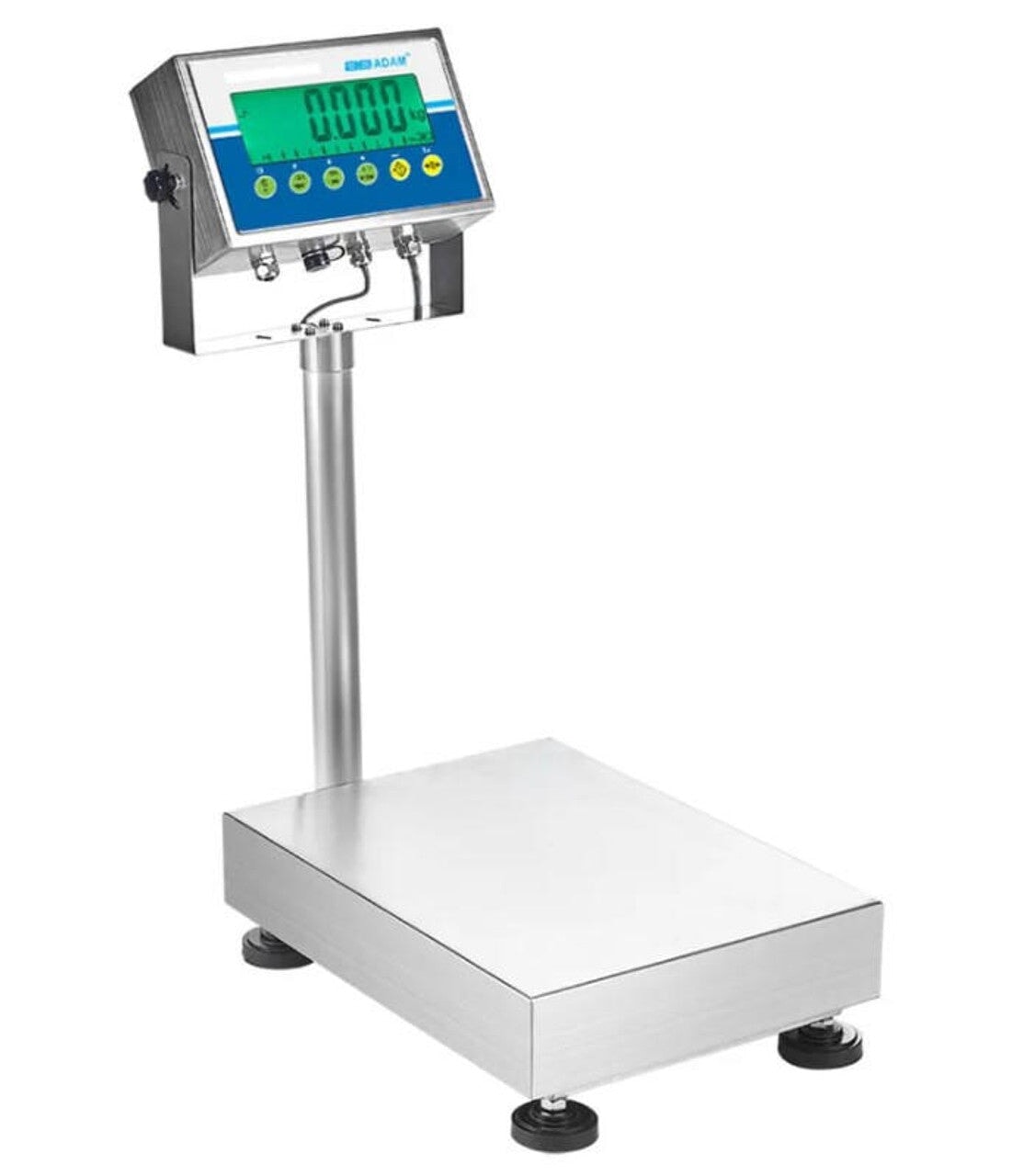 Adam Equipment GGB 60aM Gladiator Washdown Scale, NTEP CLASS III, 60 lb x 0.01 lb