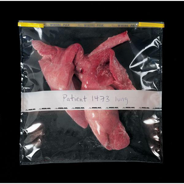 Whirl-Pak B01447 Bags - 184 oz. (5,441 ml) - Box of 100