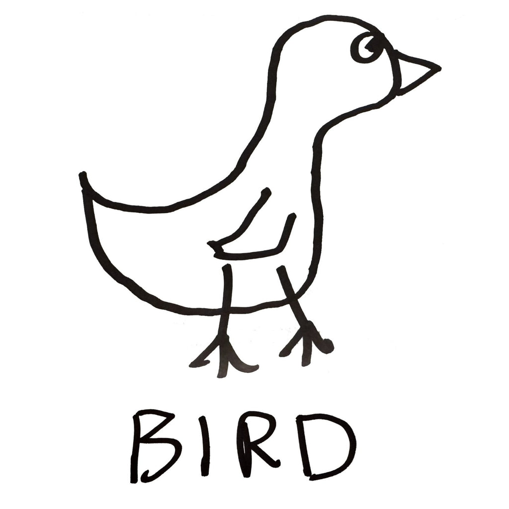 Bird- Toddler Tee