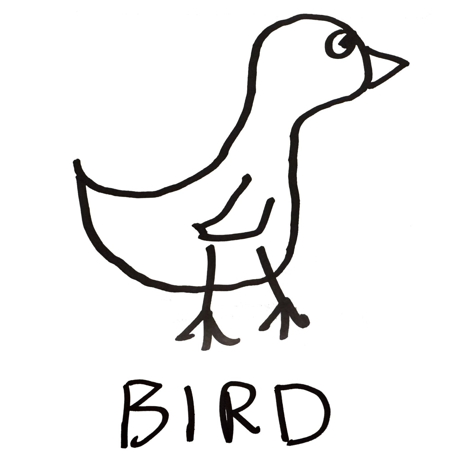 Bird- Toddler Tee