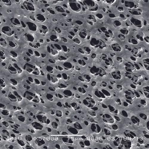 GVS 1213762 Magna™ Filtration Membrane, Nylon 47mm 0.1 µm, 100/pk