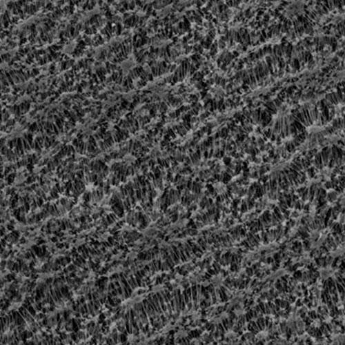 GVS 1215487 PTFESep™, Filtration Membrane, Polytetrafluoroethylene 47mm 0.22 µm