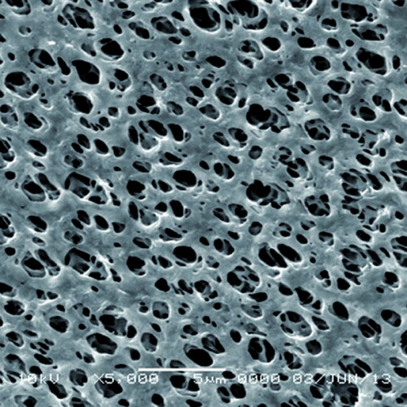 GVS 1213794 Hydrophilic Nylon Filter Membrane 1.2 µm, 13 mm (100/Pack) - Discontinued