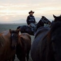 Ride'em Cowboy