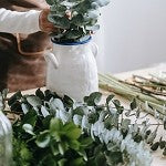 Eucalyptus Fir (Scented Beads)