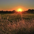 Summer Sunset (Scented Beads)