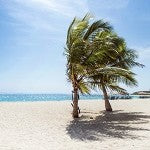 Tropical Wind (Scented Beads)