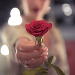 Rose (Scented Beads)