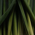 Lemongrass (Scented Beads)