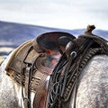 Saddle Up  (Scented Beads)