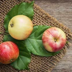 Apple (SS) 30%