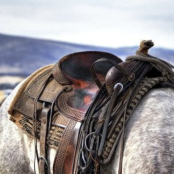 Saddle Up  (Scented Beads)
