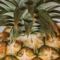 Pineapple Leather (Scented Beads)