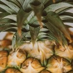 Pineapple Leather (Scented Beads)
