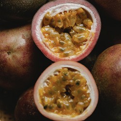 Coconut Passion (SS) 2%
