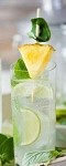 Pineapple Sage