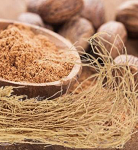 Vetiver & Nutmeg
