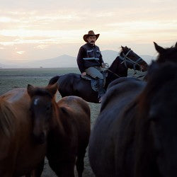 Ride'em Cowboy