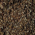 Jasmine Vanilla (SS) 5%