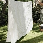 Clean Cotton (SS)