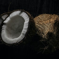 Coconut Leather (SS) 0%