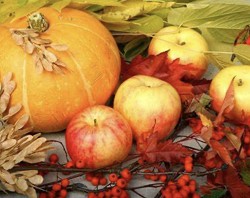 Pumpkin Apple