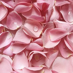 Rose Sprinkles