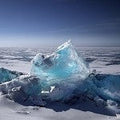 Polar Ice (SS) 5%