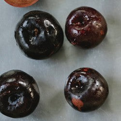 Plum (SS) 16%