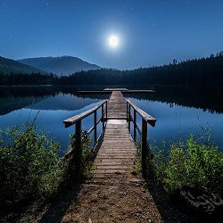 Moonlight Path