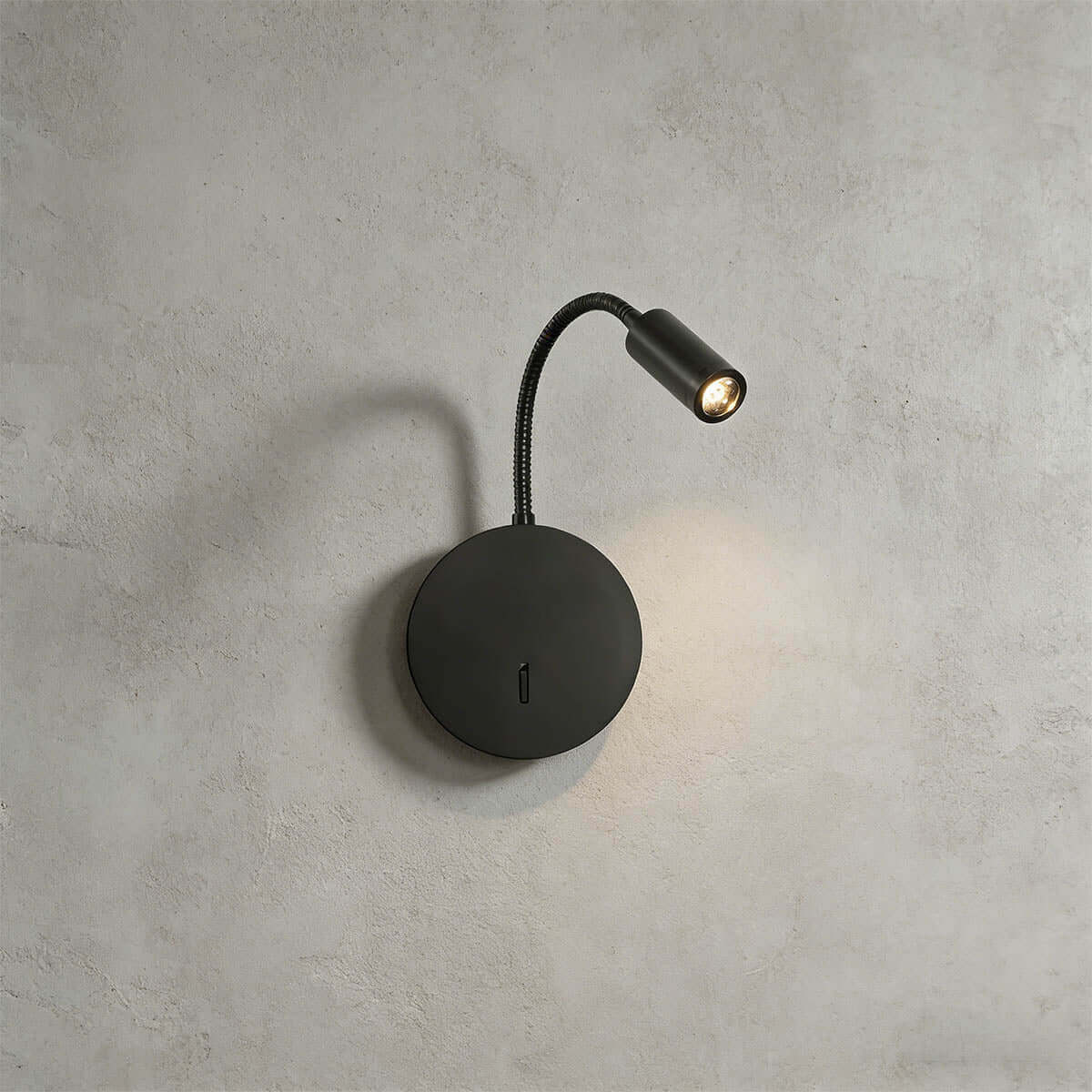 Zalor Wall Light
